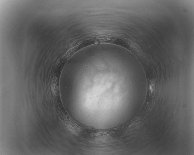 X0000081300867200701181833