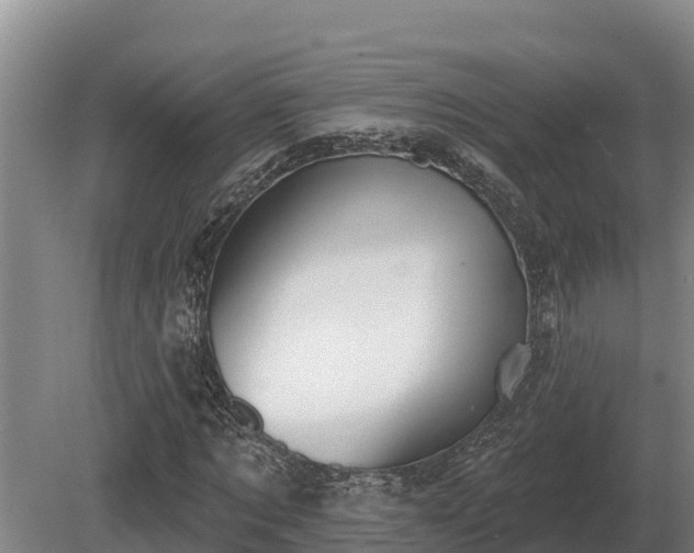 X0000081300869200701181833