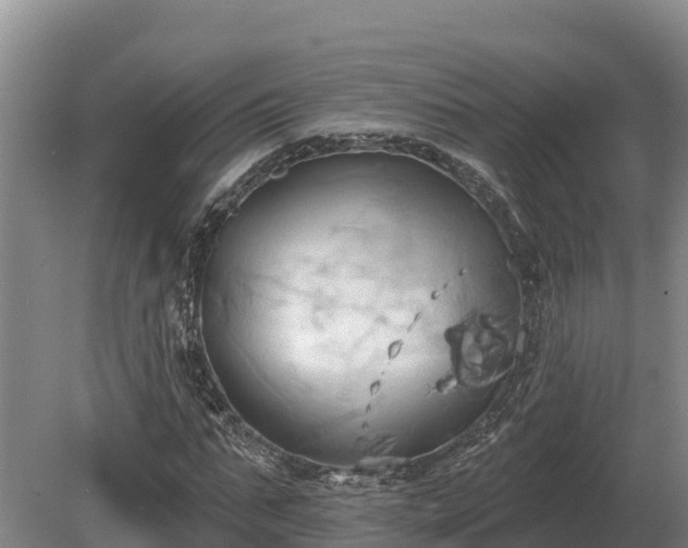 X0000081300871200701181833