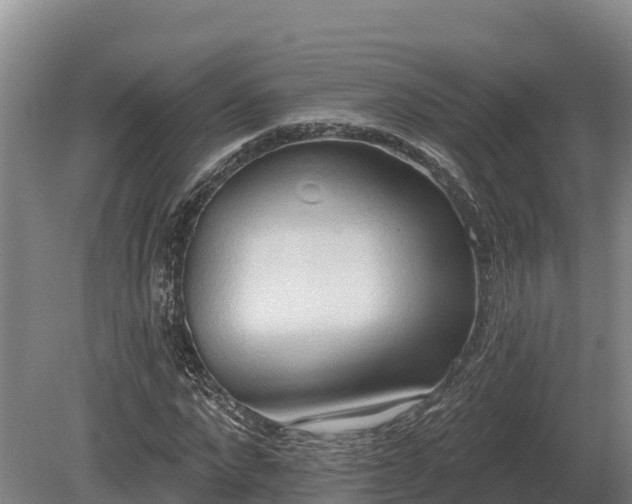 X0000081300872200701181833