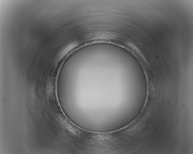 X0000081300874200701181832