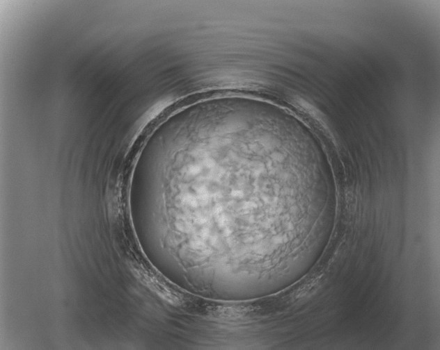 X0000081300875200701181832