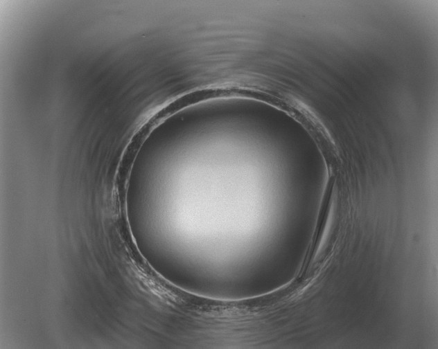 X0000081300876200701181832