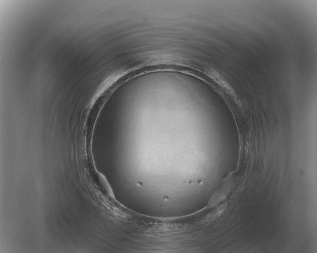 X0000081300877200701181832