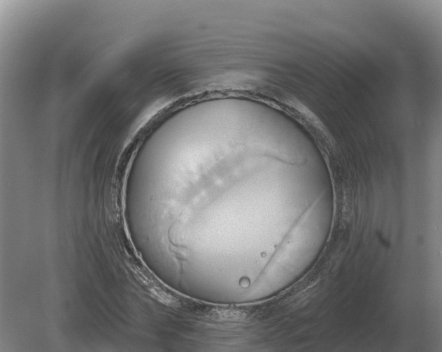 X0000081300878200701181832