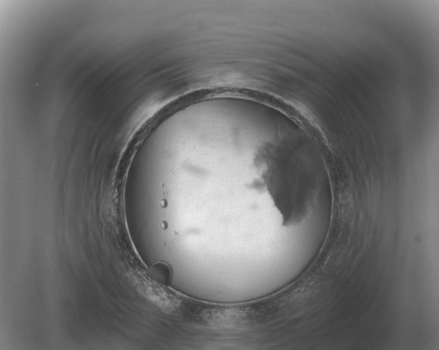 X0000081300879200701181832