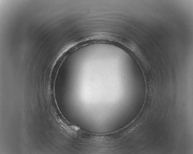 X0000081300880200701181832