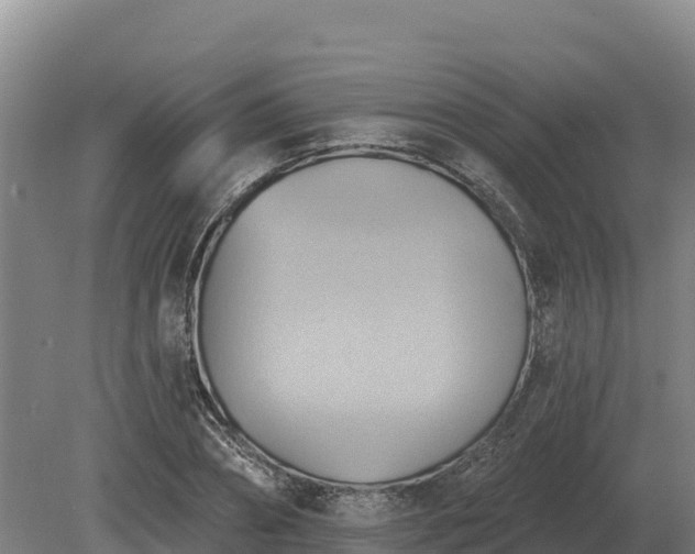 X0000081300882200701181832