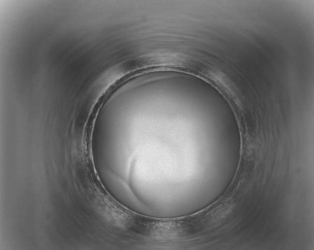 X0000081300883200701181832