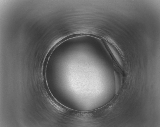 X0000081300884200701181832