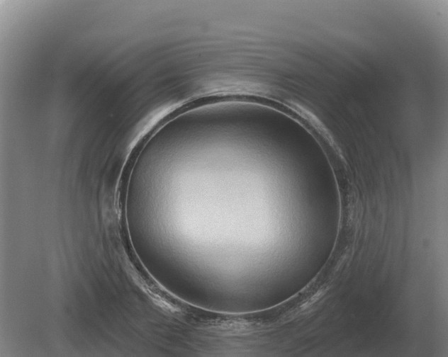 X0000081300885200701181832