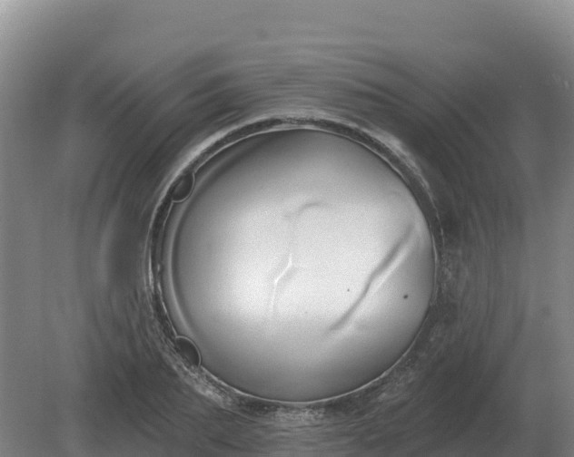 X0000081300887200701181832