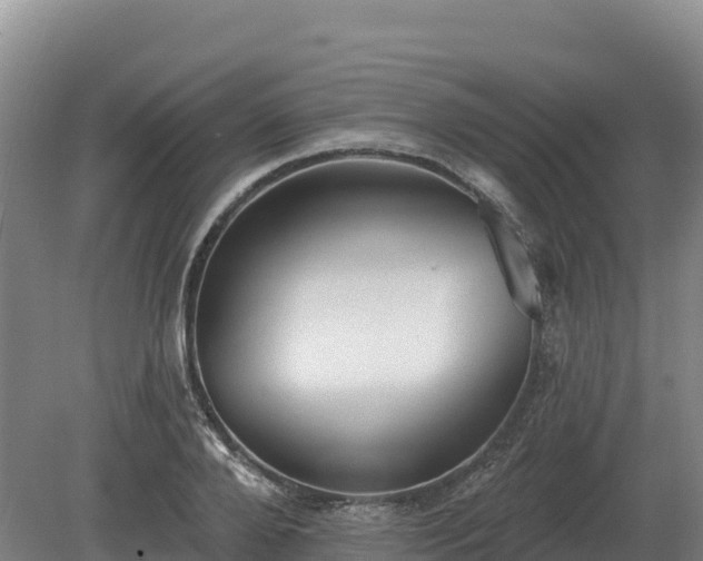 X0000081300888200701181832