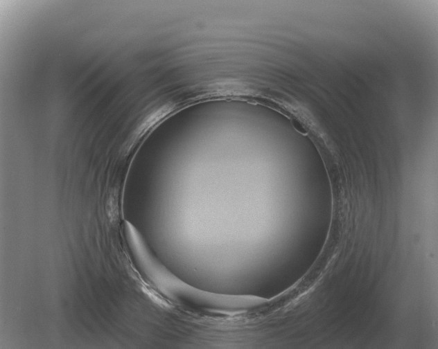 X0000081300889200701181832