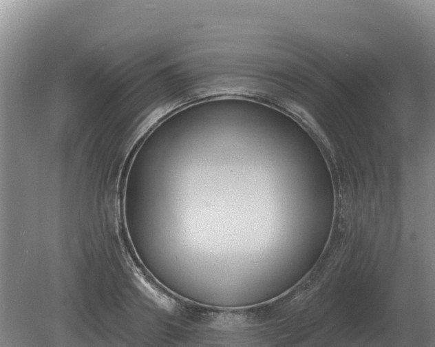 X0000081300890200701181832