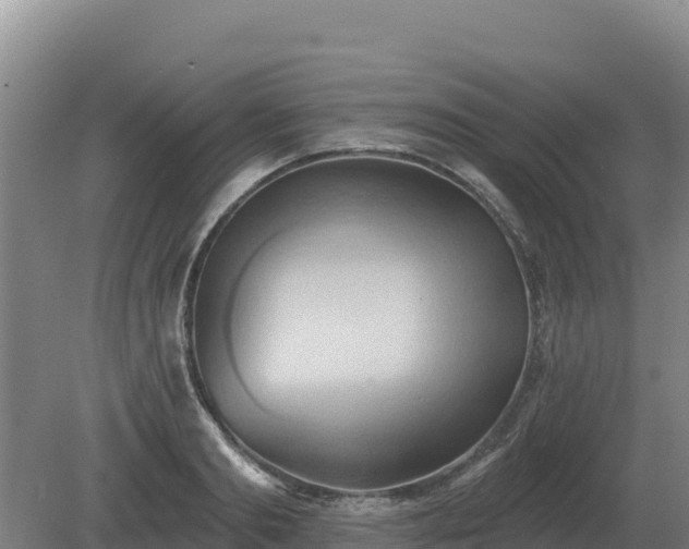 X0000081300893200701181832