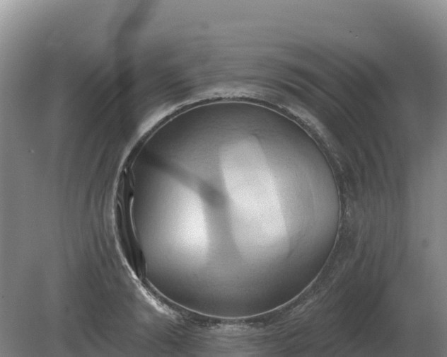 X0000081300894200701181832