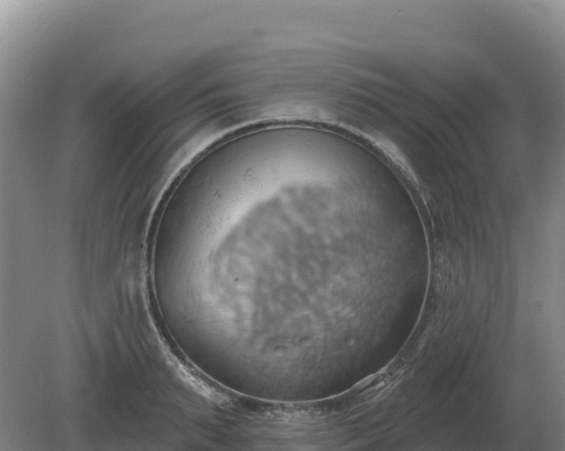 X0000081300895200701181832