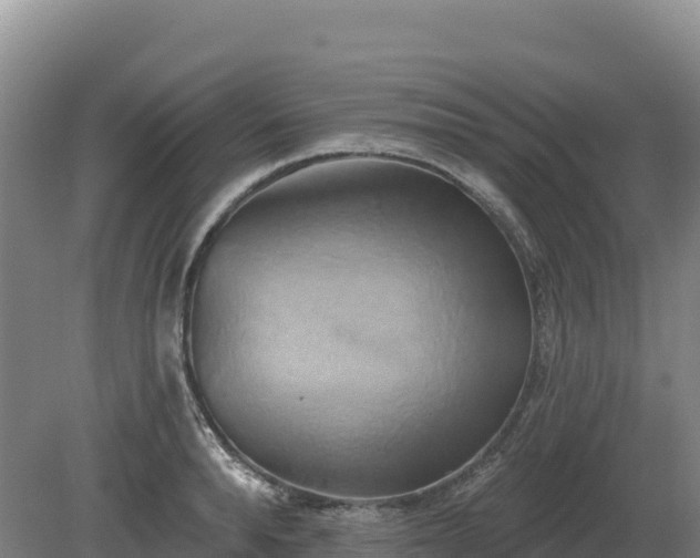 X0000081300896200701181832