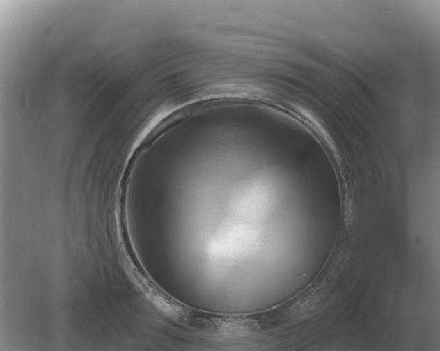 X0000081300899200701181832