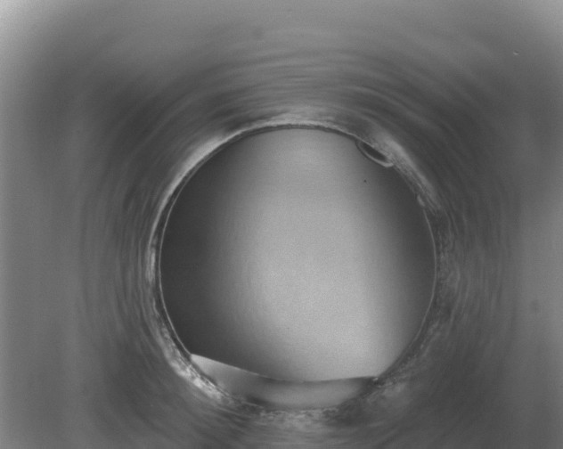 X0000081300900200701181832