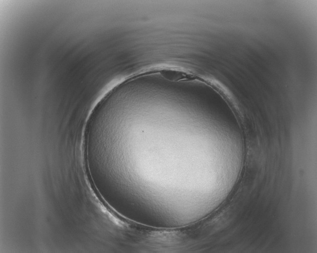 X0000081300902200701181832