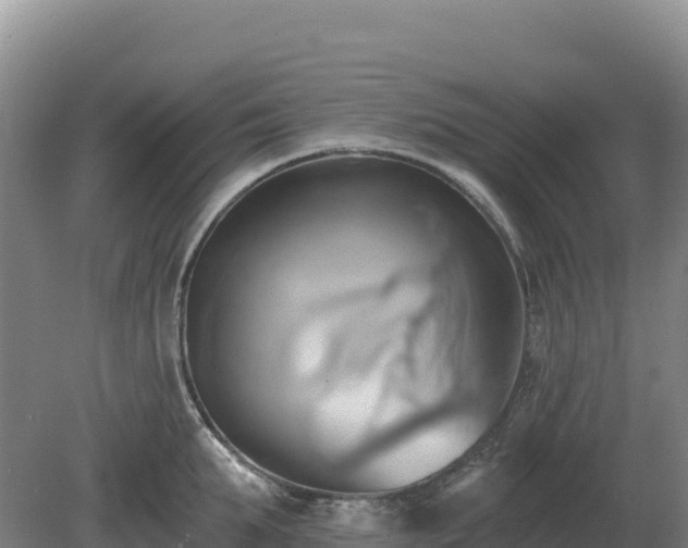 X0000081300903200701181832