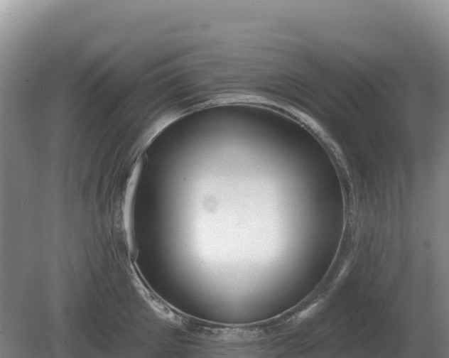 X0000081300905200701181832