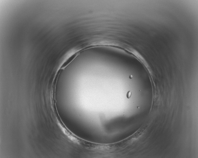 X0000081300909200701181832