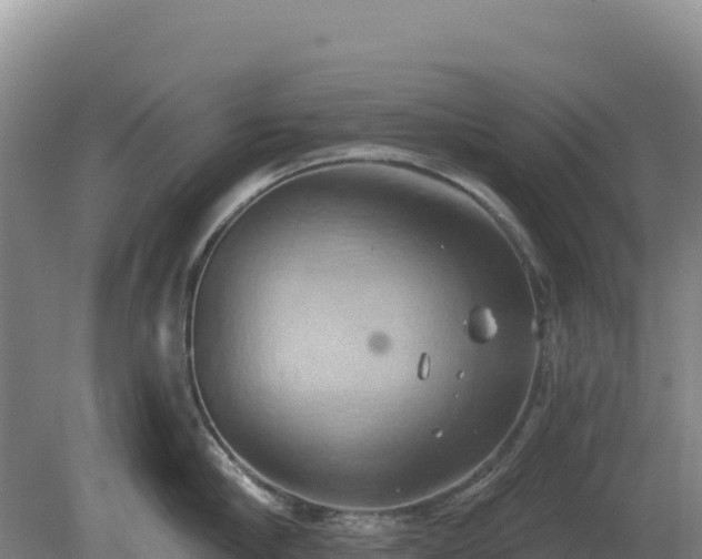 X0000081300910200701181832