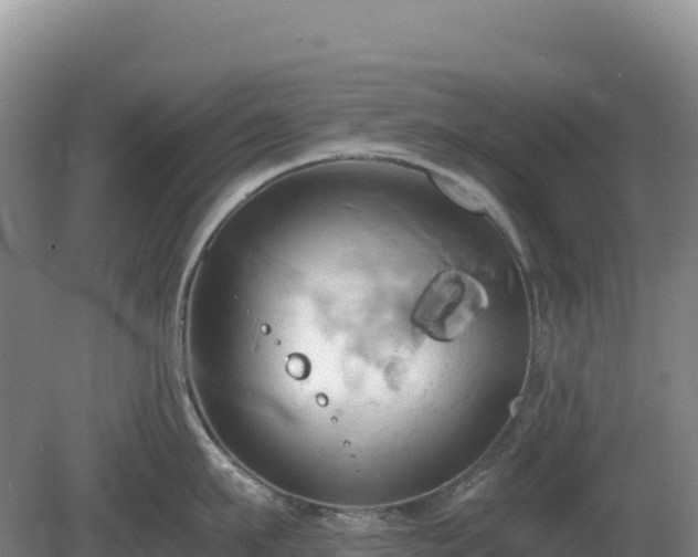 X0000081300911200701181832