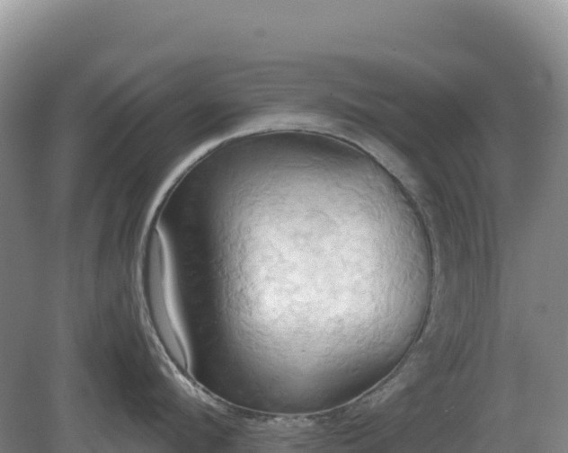 X0000081300912200701181832