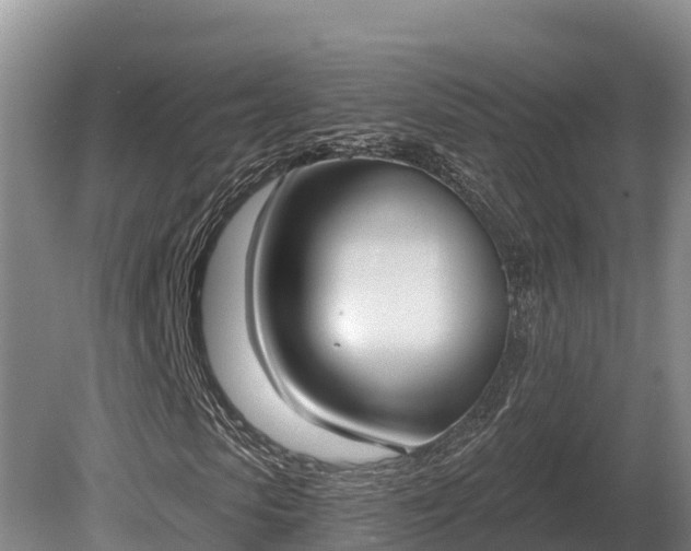 X0000081300913200701181831