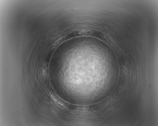 X0000081300914200701181831