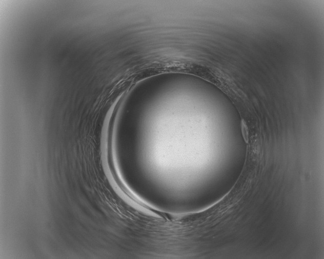 X0000081300916200701181831