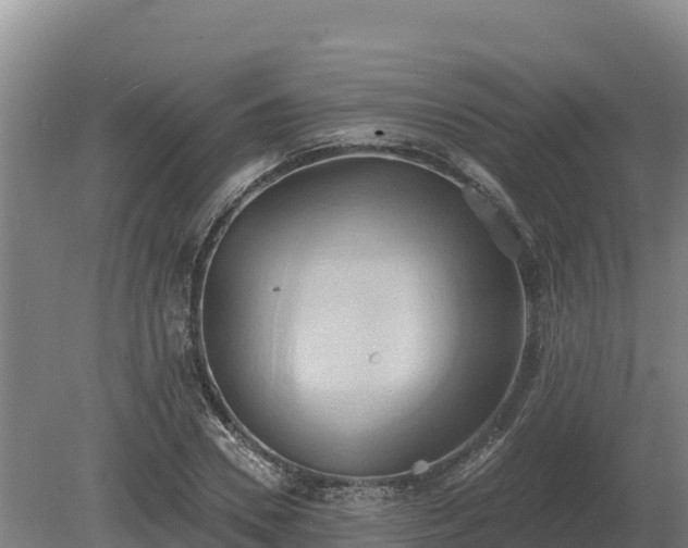 X0000081300930200701181831