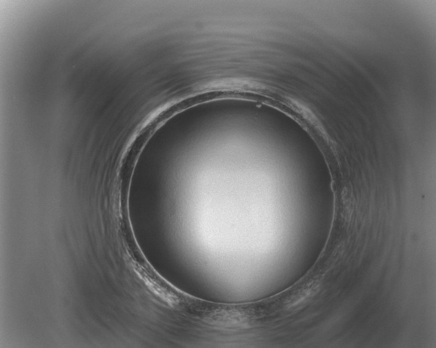 X0000081300931200701181831