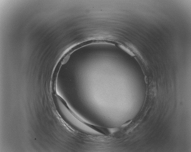 X0000081300932200701181831