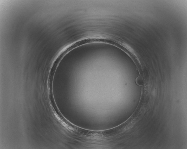 X0000081300935200701181831