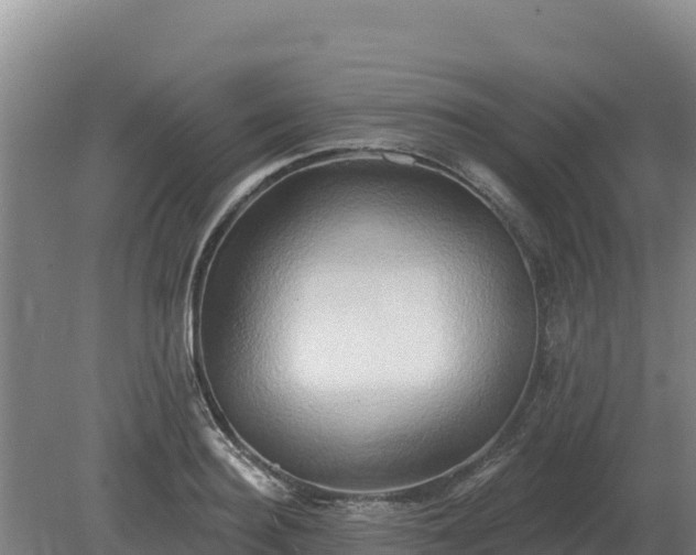 X0000081300940200701181831