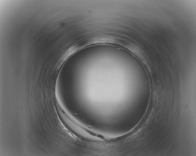 X0000081300945200701181832