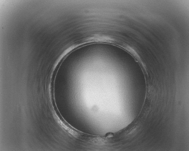 X0000081300947200701181832