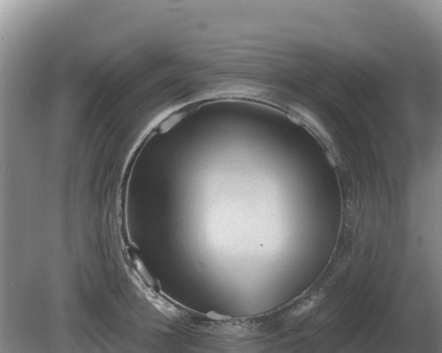 X0000081300948200701181832