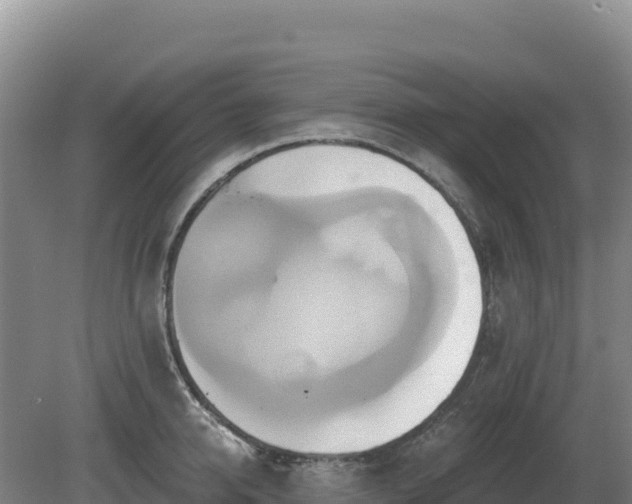 X0000081300950200701181832