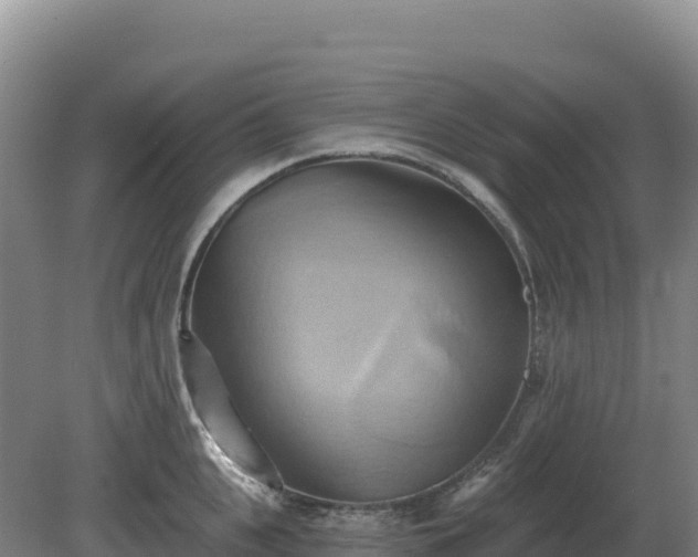 X0000081300951200701181832