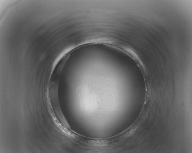 X0000081300952200701181832