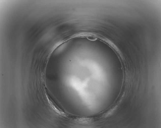 X0000081300953200701181832