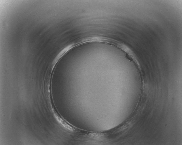 X0000081300954200701181832