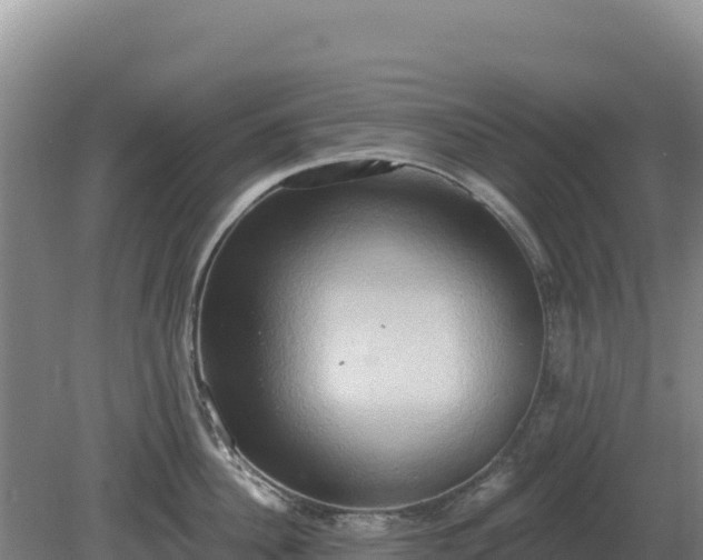 X0000081300956200701181832