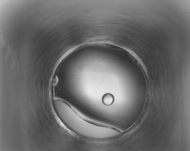 X0000081300957200701181832